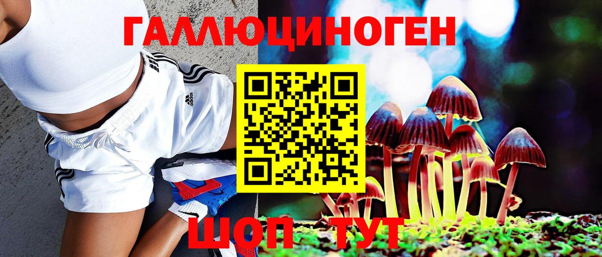 Псилоцибиновые грибы ЛСД Кольчугино