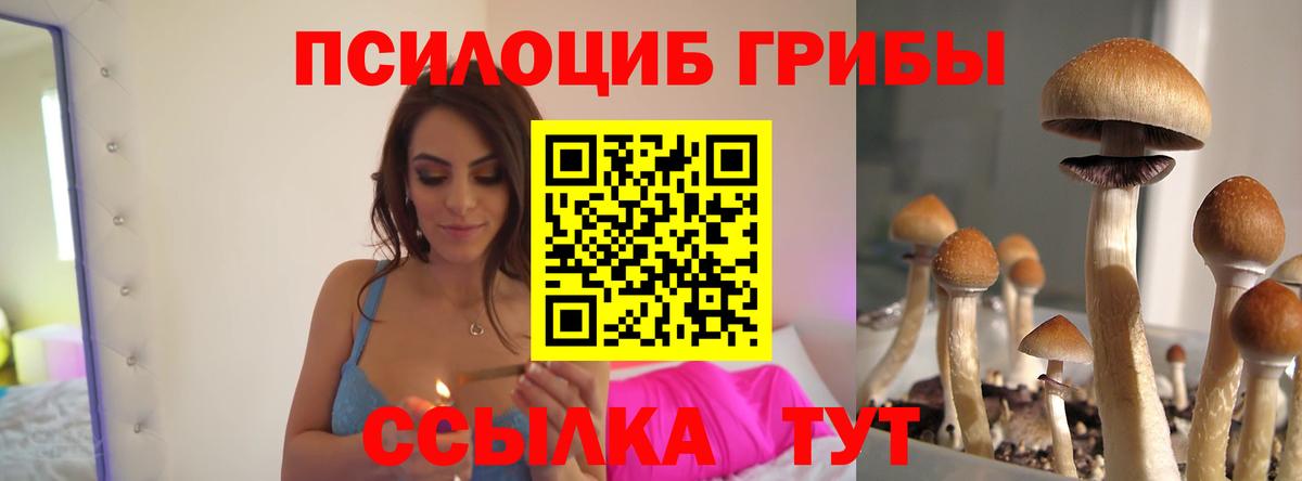 Галлюциногенные грибы мухоморы  наркошоп  Псилоцибиновые грибы Psilocybe  Кольчугино  Вход с VPN 