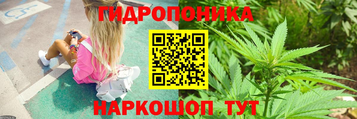 Канабис SATIVA & INDICA Кольчугино